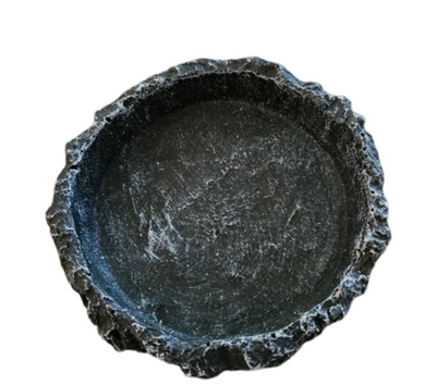 Reptile Rock Food Dish image 0