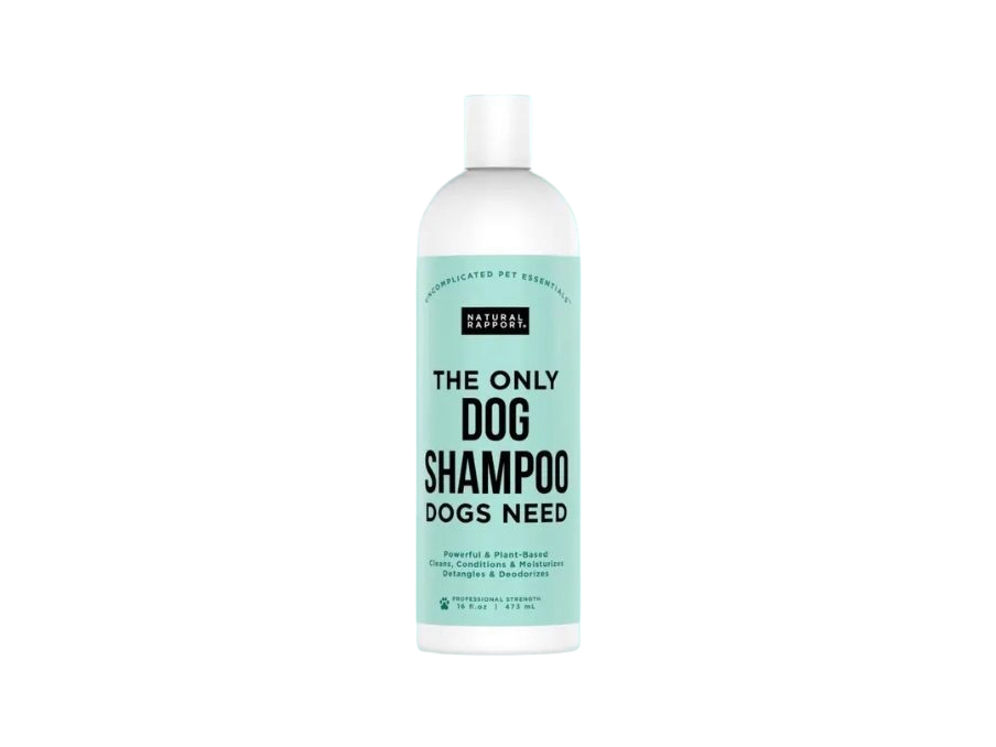 The Only Dog Shampoo Dogs Need image 0