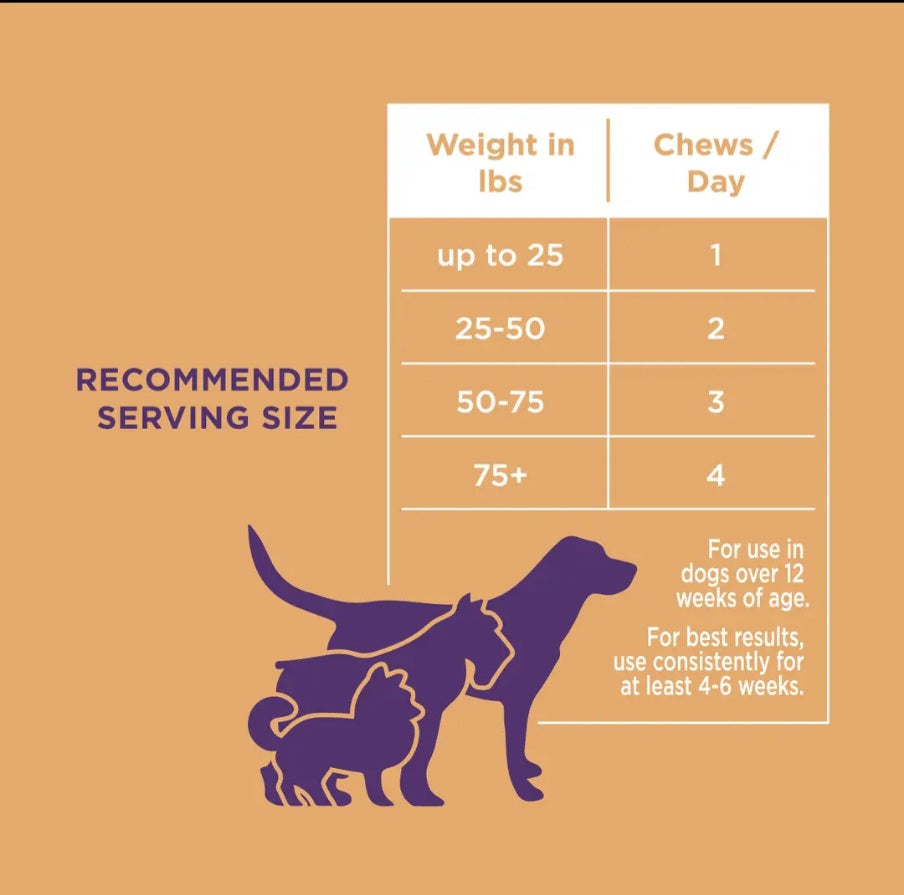 The Only Skin & Coat Soft Chews Dogs Need image 1