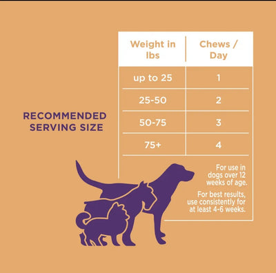 The Only Skin & Coat Soft Chews Dogs Need image 1
