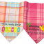 “Sweet Summer” Red & Pink Pet Bandannas