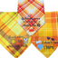 Multi Color Pet Bandannas