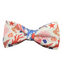 Beach Bows