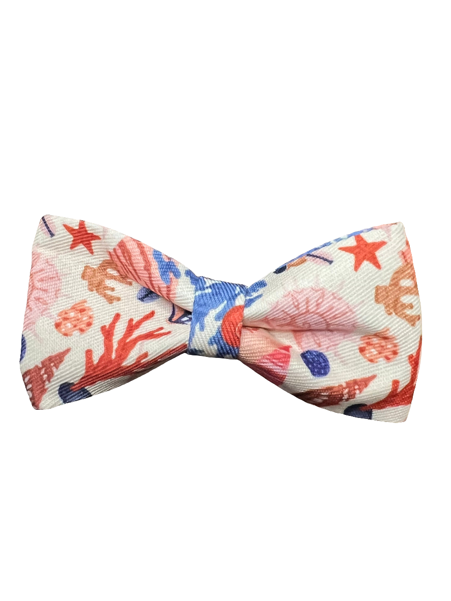 Beach Bows