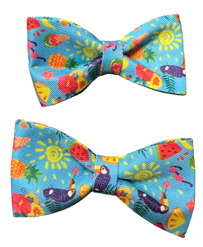 Tropical Bows