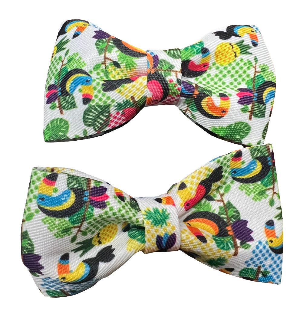 Tropical Bows