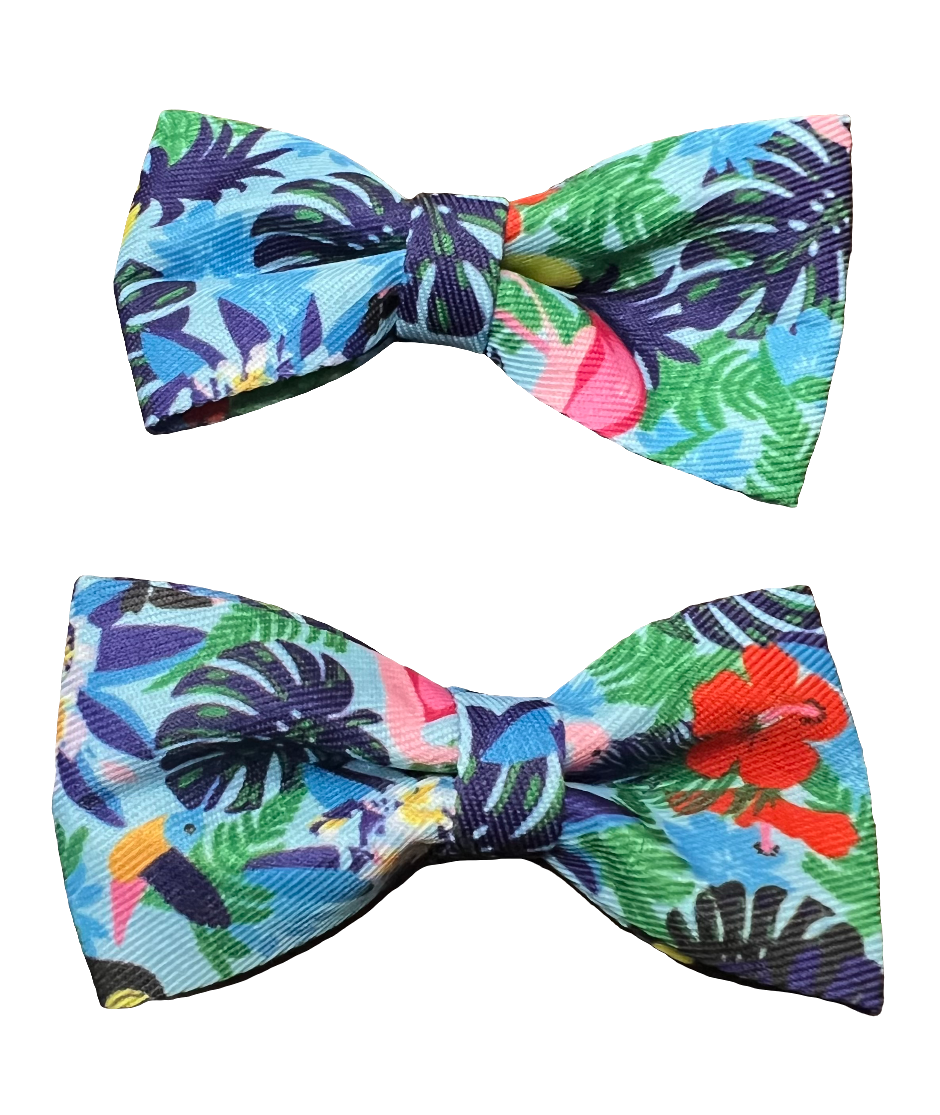 Tropical Bows