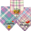“Sweet Summer” Red & Pink Pet Bandannas