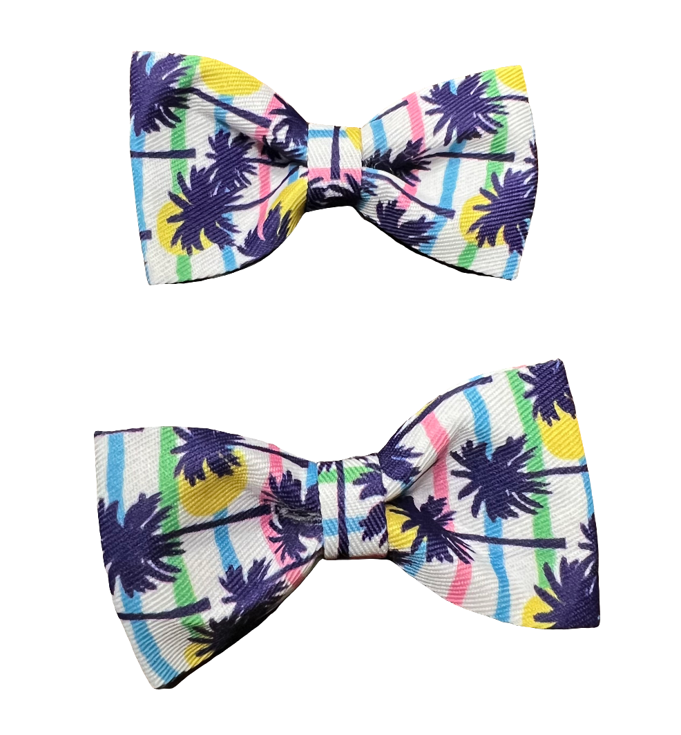 Tropical Bows