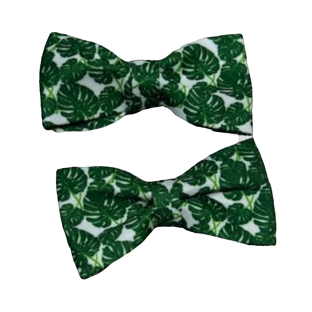 Tropical Bows