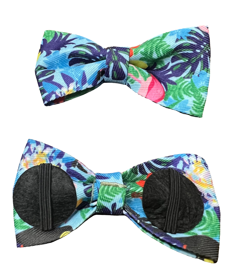 Tropical Bows