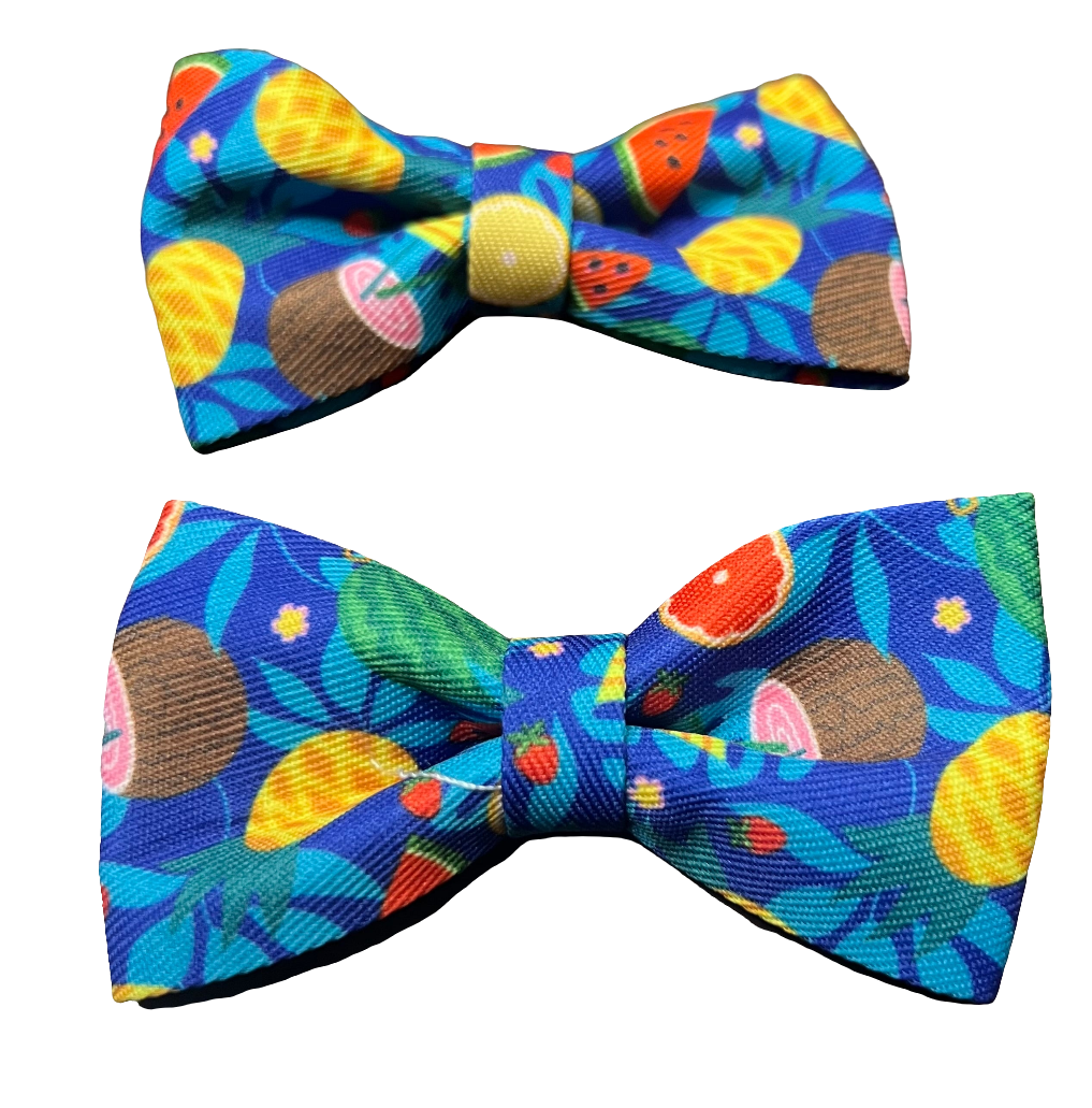 Fruit Bows, Assorted Designs