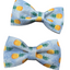 Fruit Bows, Assorted Designs