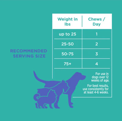 The Only Digestive Support Soft Chews Dogs Need image 1