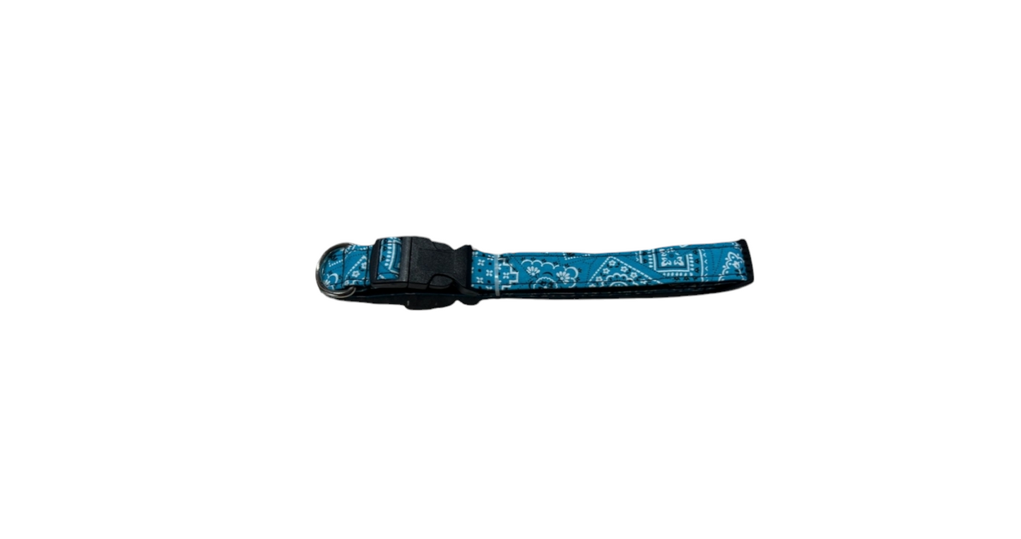 Miscellaneous Dog Collars image 2