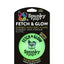 Fetch and Glow Balls